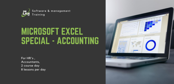 Microsoft Excel special - accounting