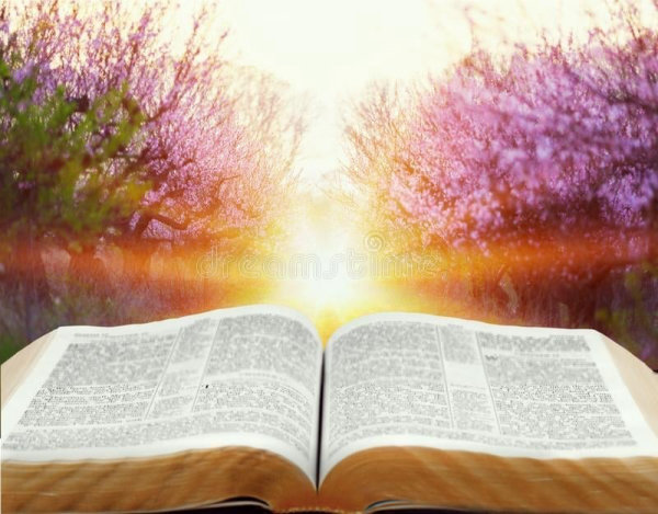 ԱնՄար ուսումնական կենտրոն